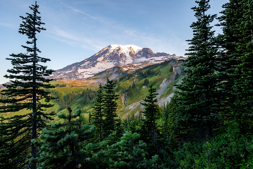 Mt. Rainier, July 2023